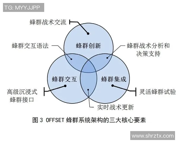 深圳排球队转换打法深度分析与战术创新探讨 深圳排球队转换打法深度分析与战术创新探讨