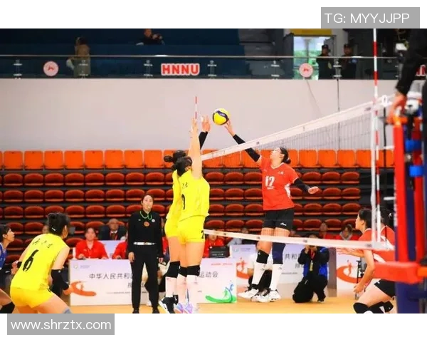 广州排球队在全国排球节奏排行榜中荣获第七名引发热议