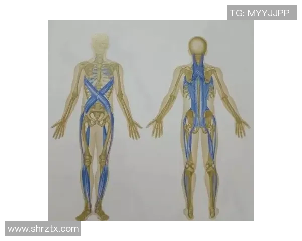 探索足球筋膜的奥秘与训练对运动表现的影响