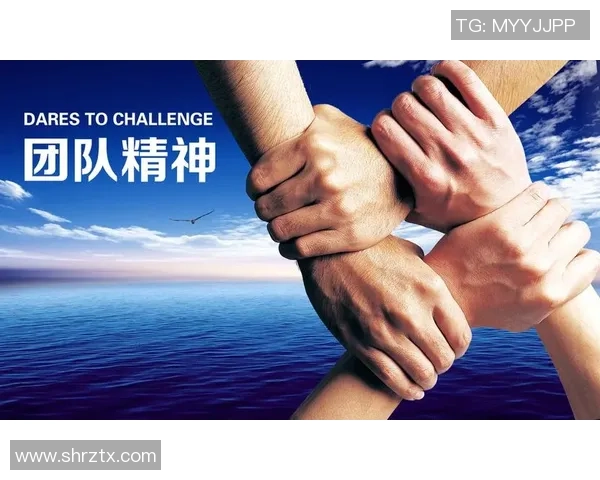 深圳网球队的奋斗历程与成长故事揭示了体育精神的真谛与团队的力量