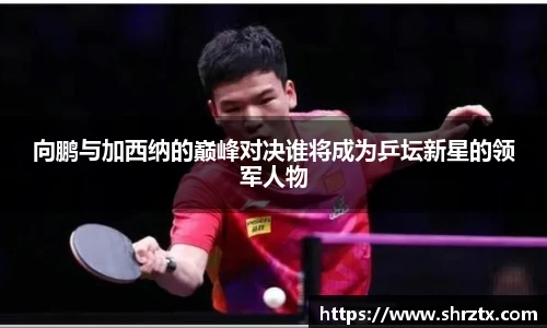 球盟会官方网站